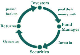 mfconcept